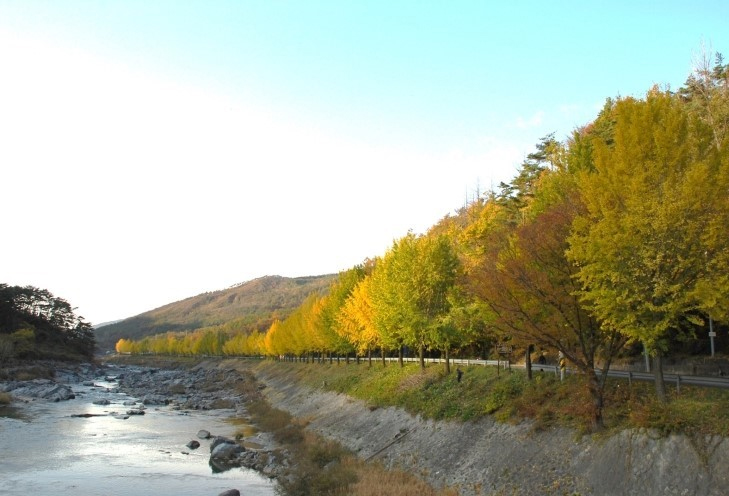 인월방면에서 마천농협으로 오는 길목입니다~ 대표 이미지