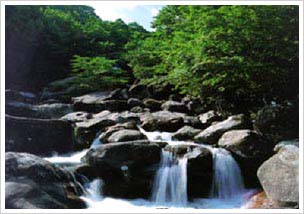 고운동계곡코스