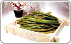 생삶은고구마순